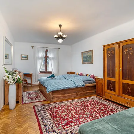 Central Apartment