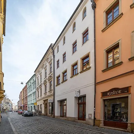 Central Apartment شقة