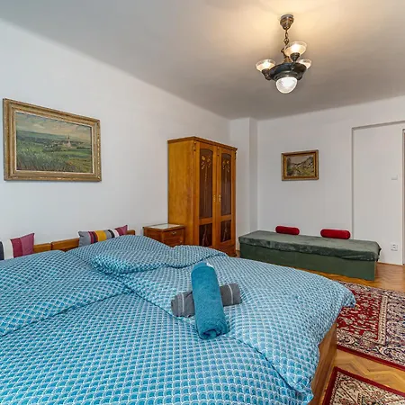 Central Apartment شقة